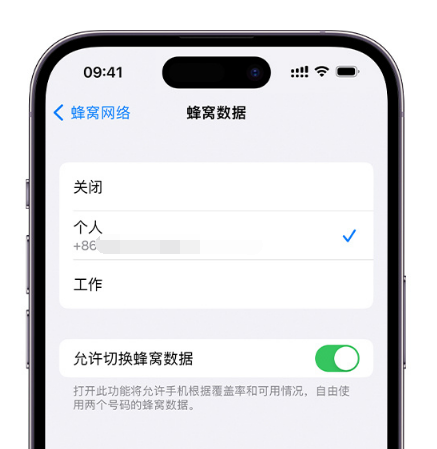 横山苹果维修服务分享如何在iPhone上使用双卡 